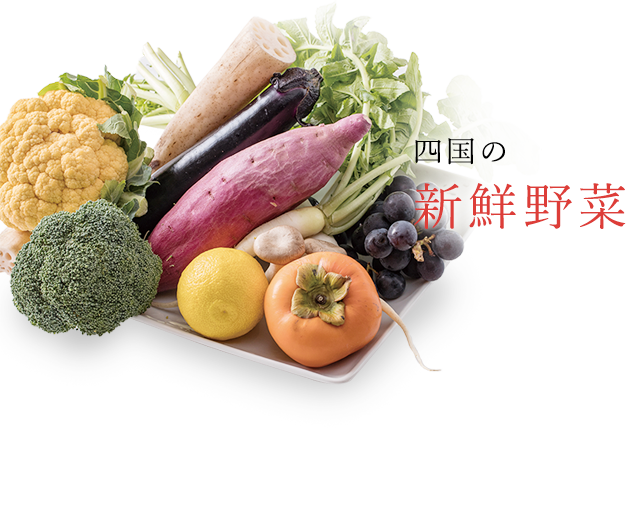 四国の新鮮野菜